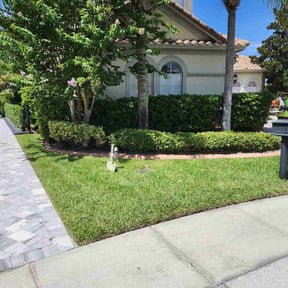 yard service by M & F Landscaping Services LLC reviewed on August 16, 2025