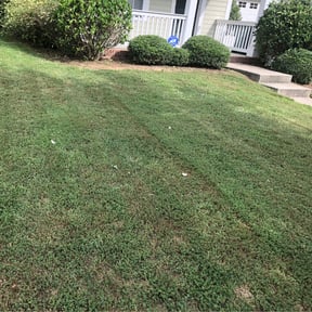 Bush Trimming by R & J Lawn Service Co. reviewed on August 21, 2025