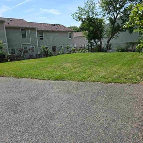 Leaf Removal by God's Hair Landscaping reviewed on June 9, 2026