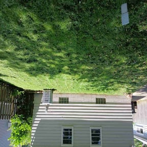 residential landscaping by Tonio's magic hands llc reviewed on August 20, 2025