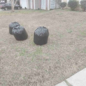Leaf Removal by HHS, LLC reviewed on June 21, 2026