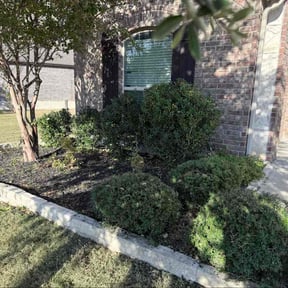 Bush Trimming by Lithium lawn care services LLC reviewed on December 14, 2025