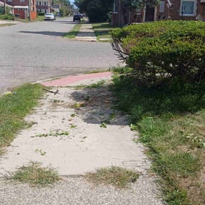 Bush Trimming by Four Seasons Landscape reviewed on November 20, 2025