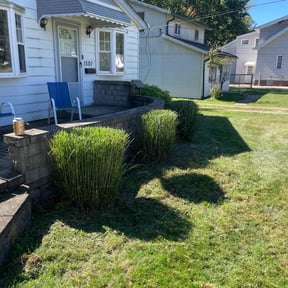 Bush Trimming by Richy reviewed on October 22, 2025