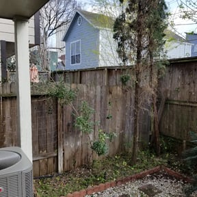 Bush Trimming by Push Mow Loudoun reviewed on August 18, 2025