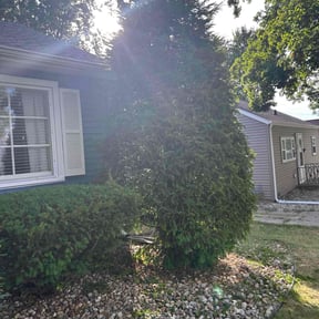 Bush Trimming by TC 's lawncare service reviewed on June 26, 2021