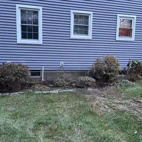 Bush Trimming by EECO SERVICES LLC reviewed on November 21, 2025