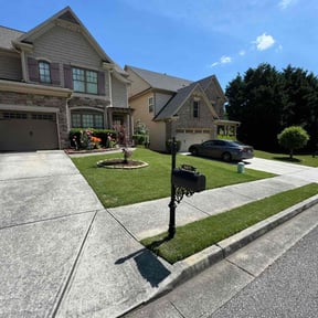turf care by Charleston Elite Lawn Care llc reviewed on August 16, 2025