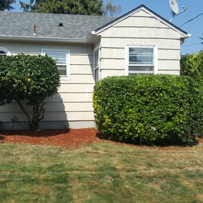 Bush Trimming by Rearden Landscape and Maintenance reviewed on August 15, 2025