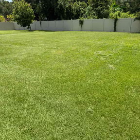 landscape maintenance by Dads Lawn Services reviewed on August 19, 2025
