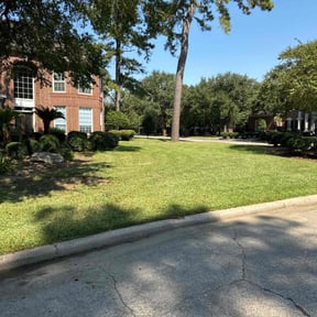 landscape maintenance by deeper roots lawncare reviewed on August 19, 2025