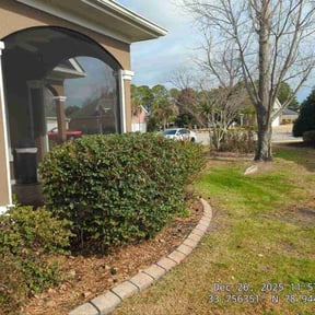 Bush Trimming by P&amp;F Lawn Services reviewed on January 1, 2026