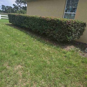 Bush Trimming by DC Exclsuive Property Services LLC reviewed on May 9, 2026
