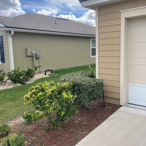 Bush Trimming by Anthony's Cleaning and Handyman services reviewed on August 17, 2025