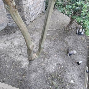 Flower Bed Weeding by C&K Outdoor Services reviewed on August 20, 2025