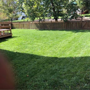 yard service by Dan&#039;s Lawn &amp; Landscaping reviewed on December 1, 2025