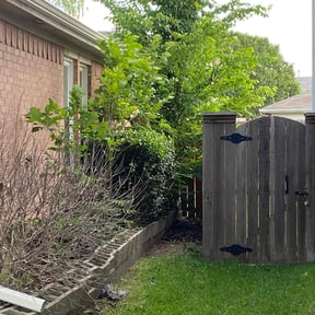 Bush Trimming by Geezs Lawn Care reviewed on August 19, 2025