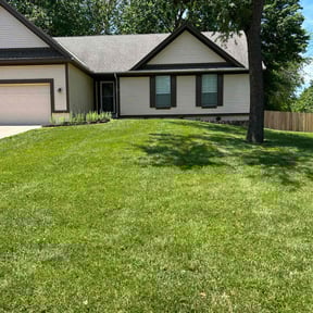 yard maintenance by yard love reviewed on August 17, 2025