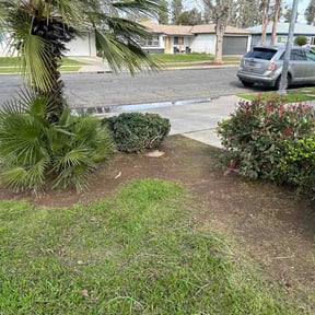 Flower Bed Weeding by Leprechaun Lawn 318 reviewed on February 17, 2026