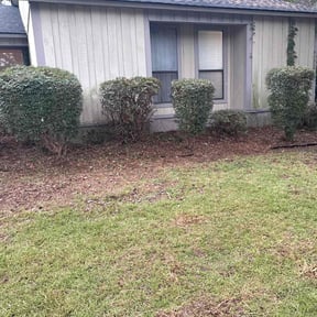 Bush Trimming by Handyman Lawns reviewed on October 21, 2025