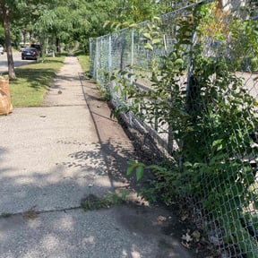 Leaf Removal by God lawn service reviewed on September 8, 2025