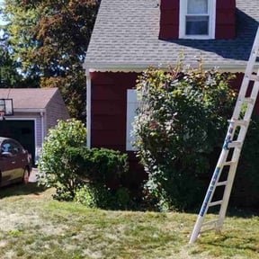 Bush Trimming by Precision Lawn Care of VA reviewed on November 9, 2025