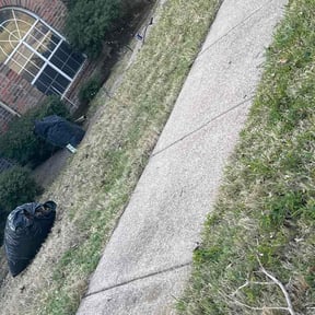 Leaf Removal by Dalia Rosa reviewed on March 13, 2026