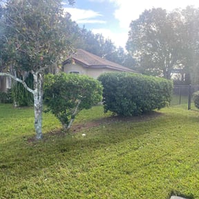 Bush Trimming by Mr do it all. reviewed on October 18, 2025