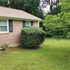 Bush Trimming by Cutting edge lawn service reviewed on August 17, 2025
