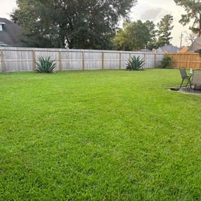 landscape maintenance by Revival Landscaping Pittsburgh reviewed on May 8, 2023