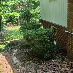 Bush Trimming by Weed Whacker Lawn Care reviewed on August 16, 2025