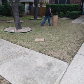 Leaf Removal by Pace Lawn and Garden reviewed on September 29, 2025