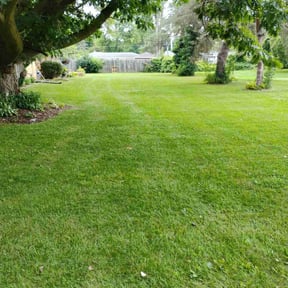 lawn care services by Neptune Flo reviewed on August 20, 2025