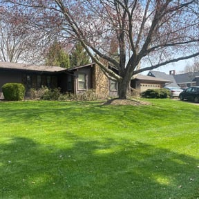 landscaping services by First Choice landscaping and lawn maintenance LLC reviewed on August 16, 2025