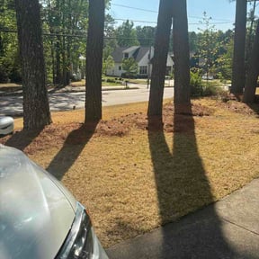 Leaf Removal by After-Hours Maintenance LLC reviewed on August 15, 2026
