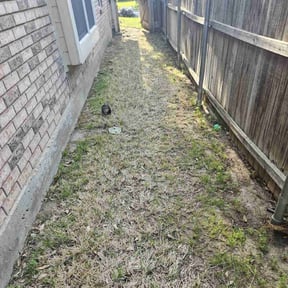 Leaf Removal by God's Gift Lawn maintenance reviewed on August 16, 2025
