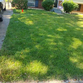lawn service by Scube and Sons reviewed on September 18, 2024