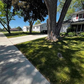 landscaping by SWM Custom reviewed on August 21, 2025