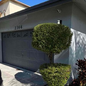 Bush Trimming by Lawn Express service reviewed on November 25, 2025