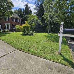yard service by 4Leaf Services reviewed on August 17, 2025