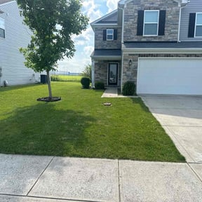 yard maintenance by Terrence Johnson reviewed on August 19, 2025