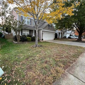 Leaf Removal by Cohen Lawn &amp; Landscaping reviewed on November 24, 2025