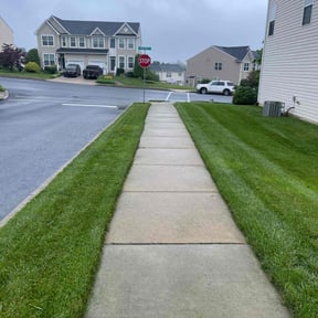 landscaping services by Sub shopper LLC reviewed on August 19, 2025