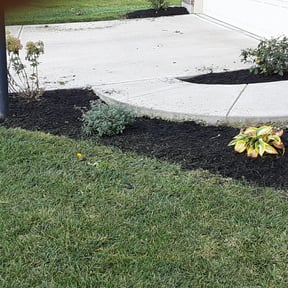 Flower Bed Weeding by T.R. Integrated Services reviewed on August 16, 2025
