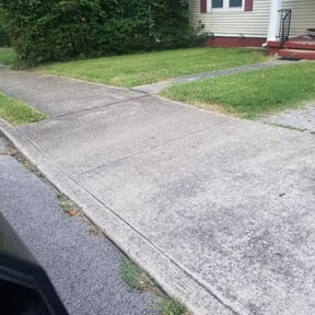 Bush Trimming by Red Maple Lawn Care reviewed on August 21, 2025