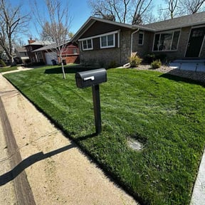 yard service by Rena Genets Lawn Care reviewed on August 18, 2025