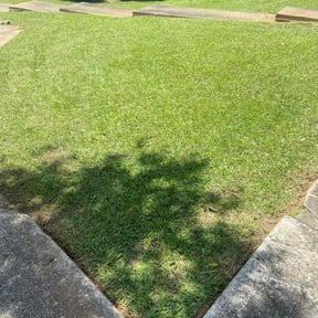 grass maintenance by Lincoln Landscape reviewed on March 25, 2024