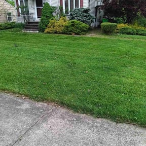 landscaping services by Polish up reviewed on August 21, 2025