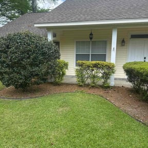 Bush Trimming by Fuentes landing reviewed on August 15, 2025