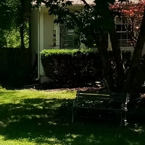Bush Trimming by Gks Lawn Care reviewed on August 16, 2025